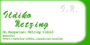 ildiko metzing business card
