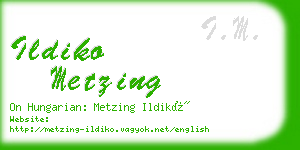 ildiko metzing business card